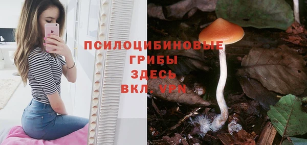 гидропоника Богородицк