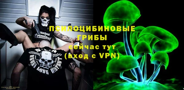 гидропоника Богородицк
