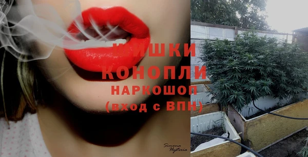 гидропоника Богородицк