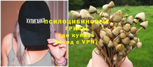 гидропоника Богородицк